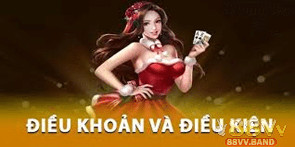 Điều Khoản 88VV hướng dẫn áp dụng cho nhà cung cấp dịch vụ